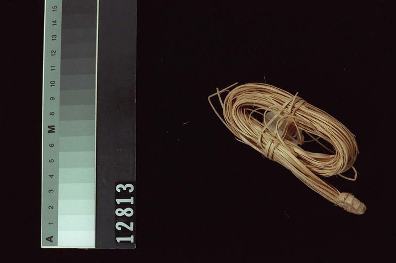 Image representing Basket.