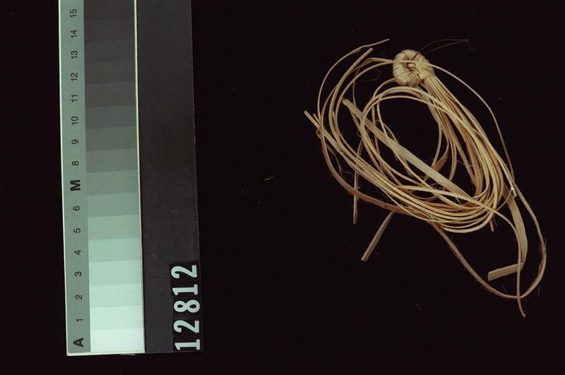 Image representing Basket.