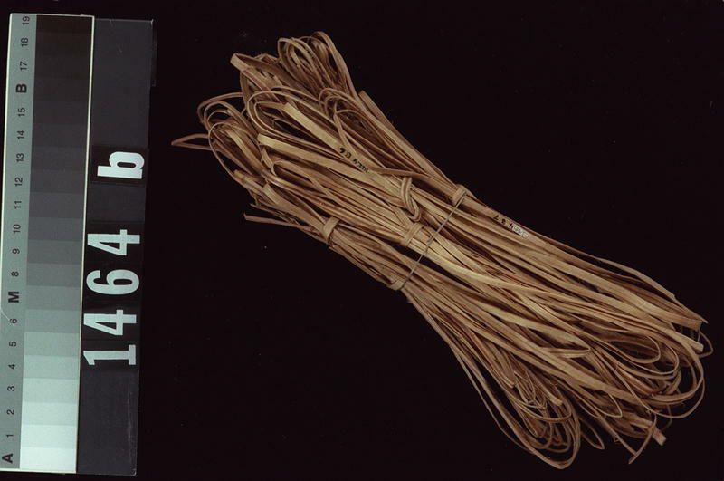 Image représentant Prepared Material