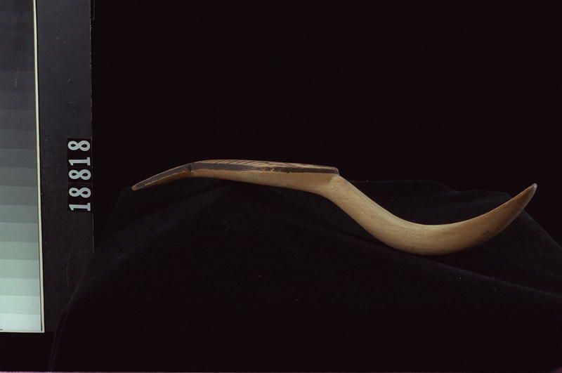 Image representing Spoon.