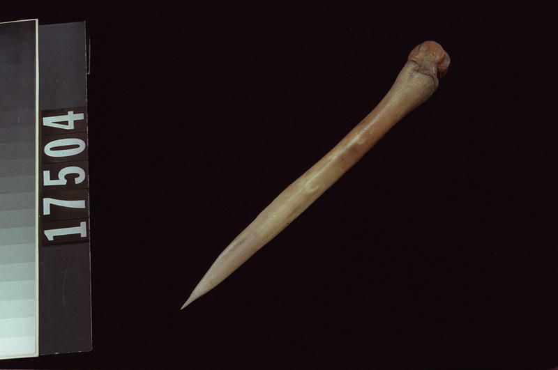 Image representing Awl.