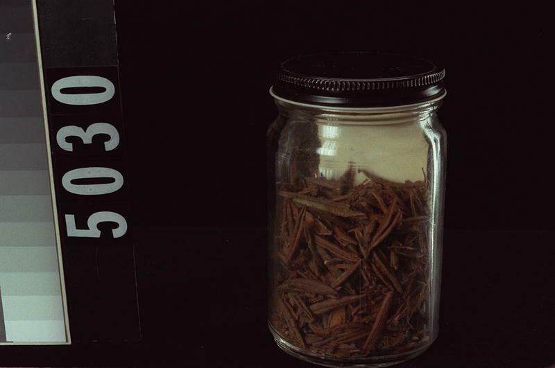 Image representing Tea.