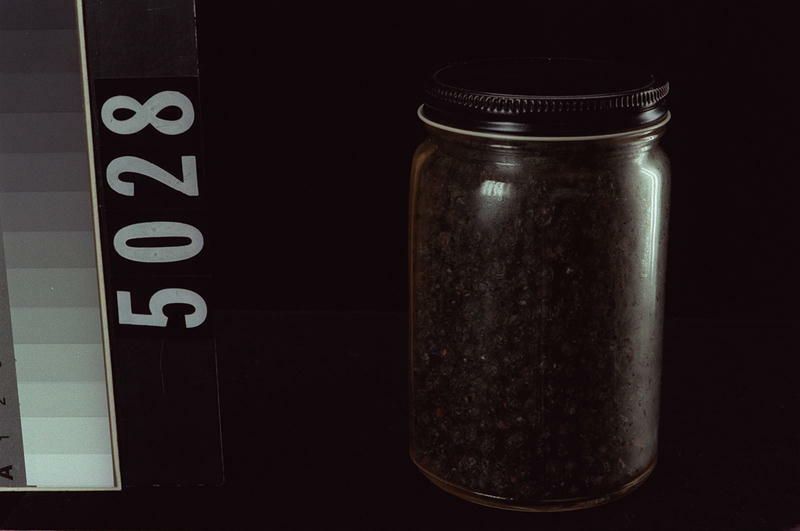 Image representing Berries.