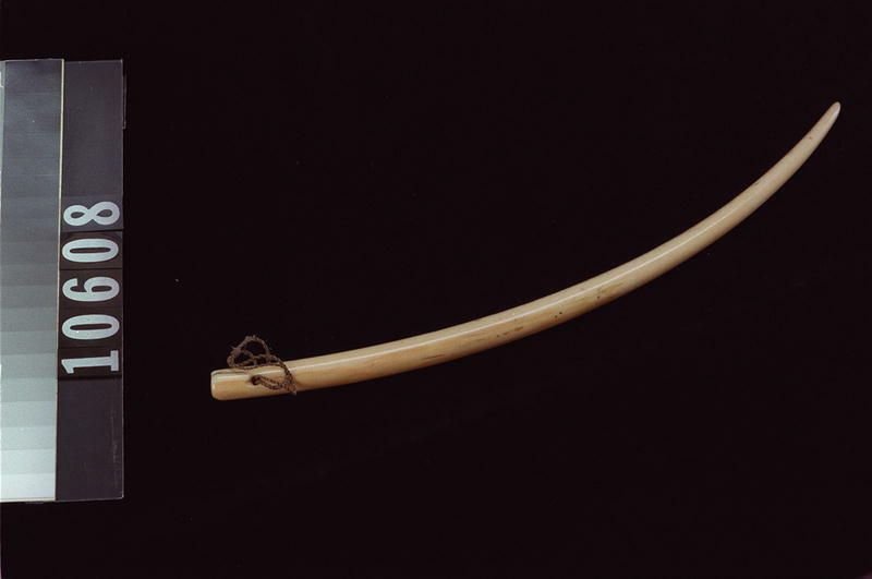 Image representing Scratcher.