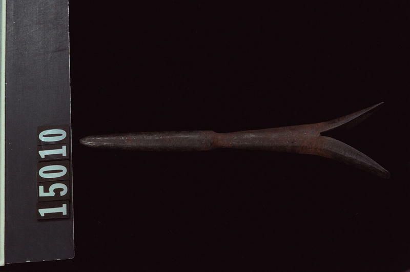 Image representing Head.