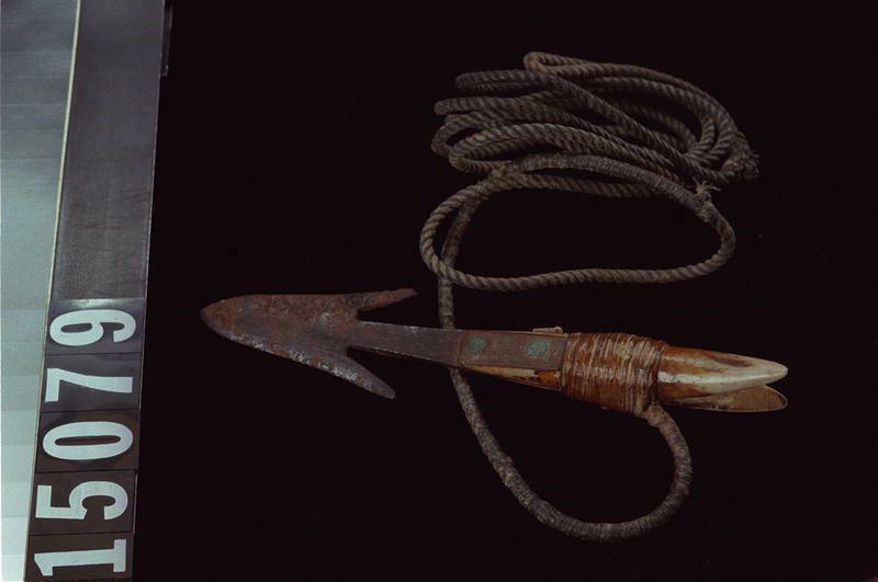 Image representing Head; Lanyard.