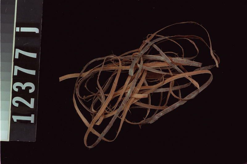 Image representing Prepared Material.