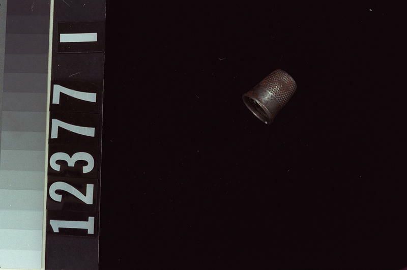Image representing Thimble.