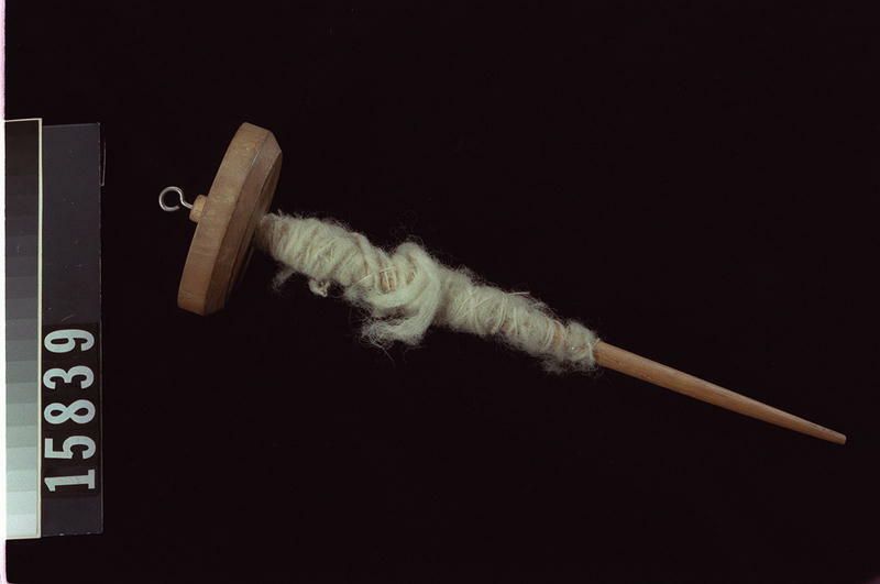 Image representing Spindle; Whorl.