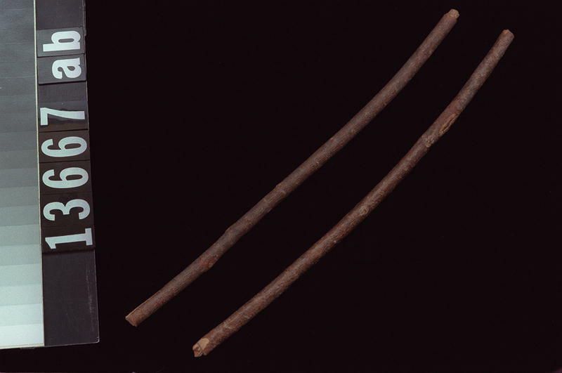 Image representing Twig.