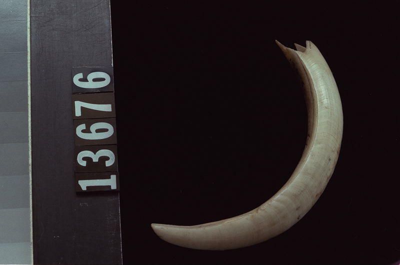 Image representing Raw Material.