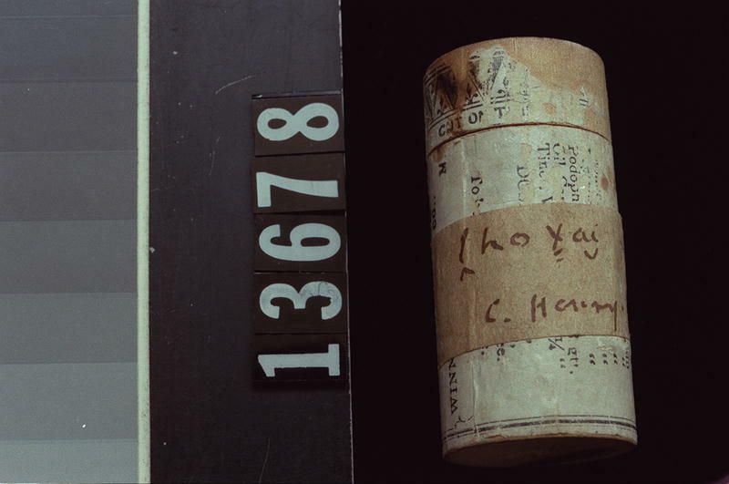 Image representing Container; Flower.