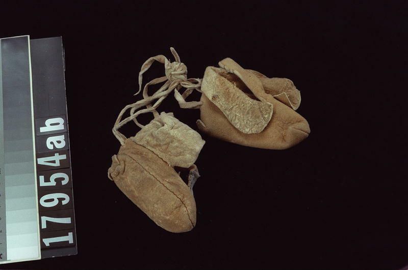 Image représentant Moccasin