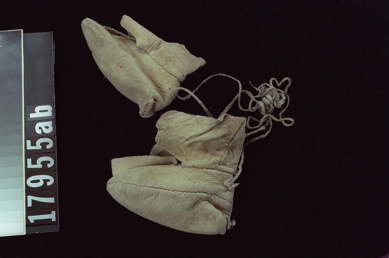 Image représentant Moccasin