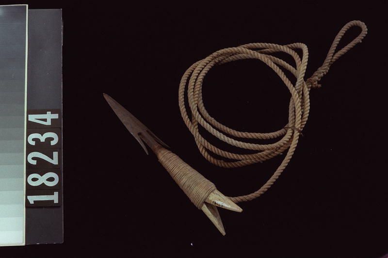 Image représentant Head