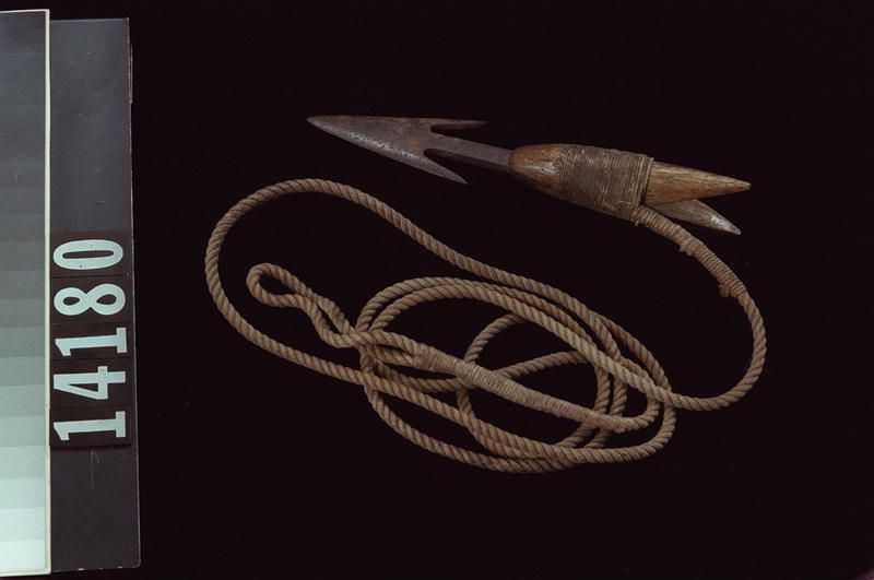 Image representing Harpoon.
