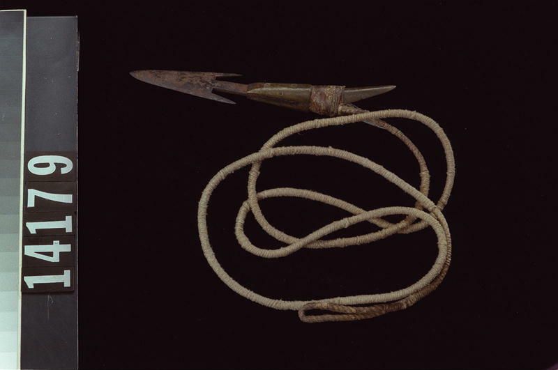 Image representing Harpoon.