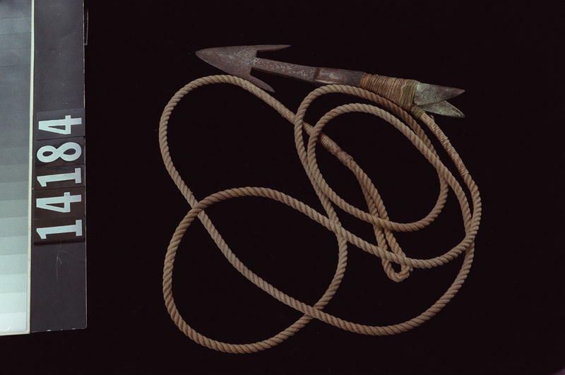 Image representing Harpoon.