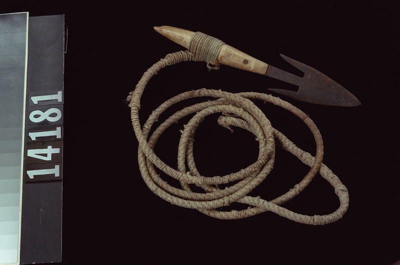 Image representing Harpoon.