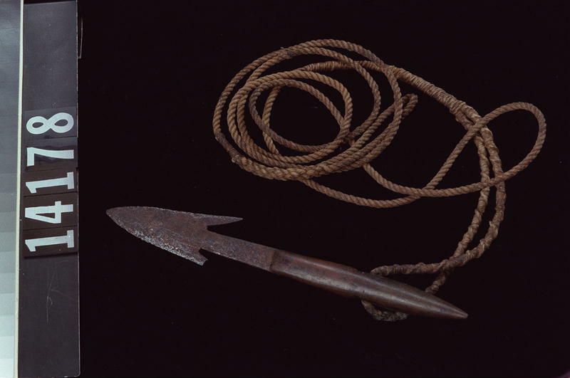 Image representing Harpoon.