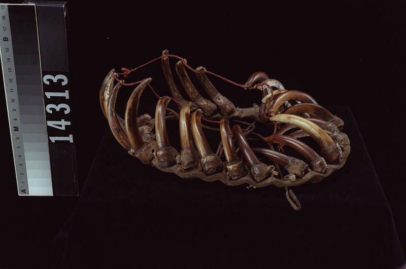 Image representing Crown.