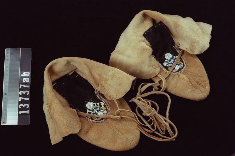 Image representing Moccasin.