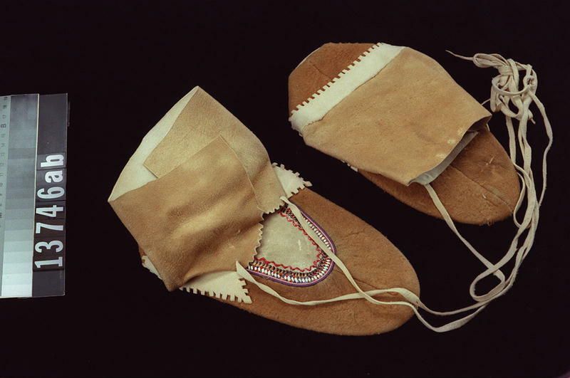 Image representing Moccasin.