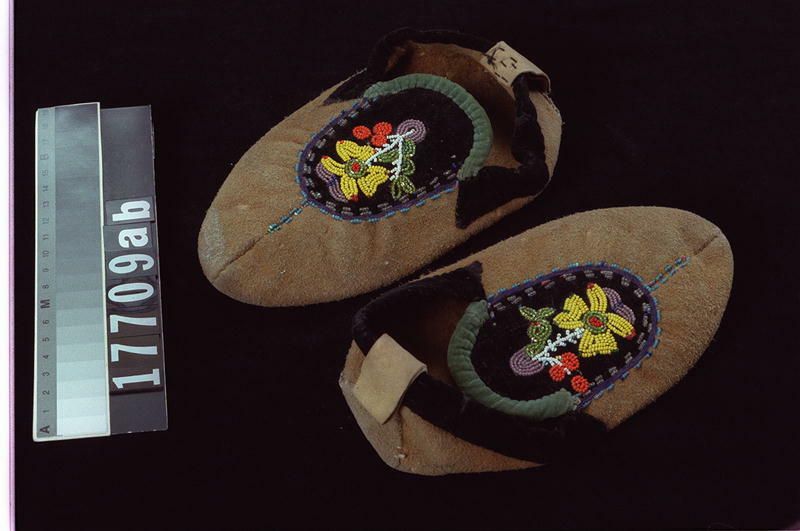 Image representing Moccasin.