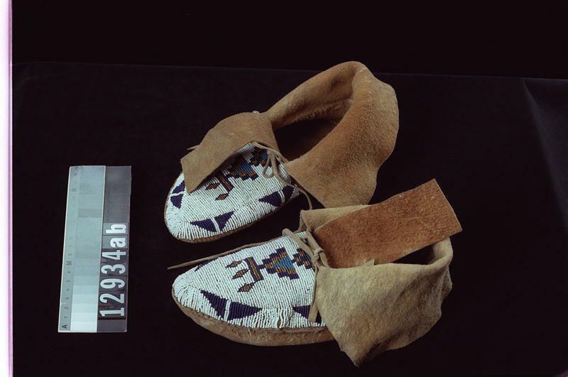 Image representing Moccasin.