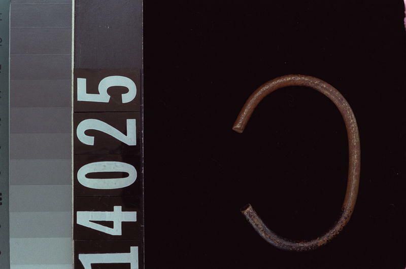 Image representing Bracelet.