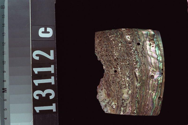Image representing Plaque.
