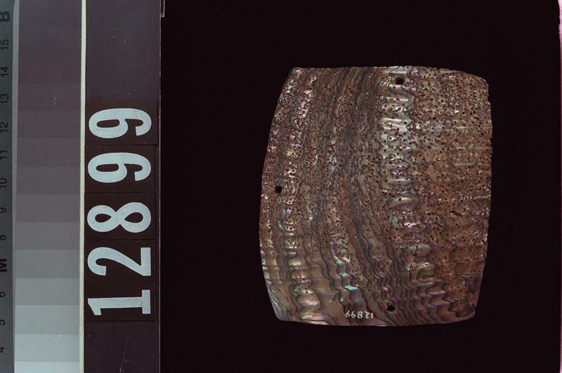 Image representing Object.