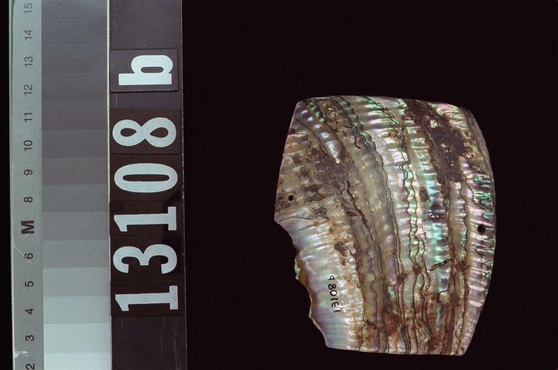 Image representing Plaque.