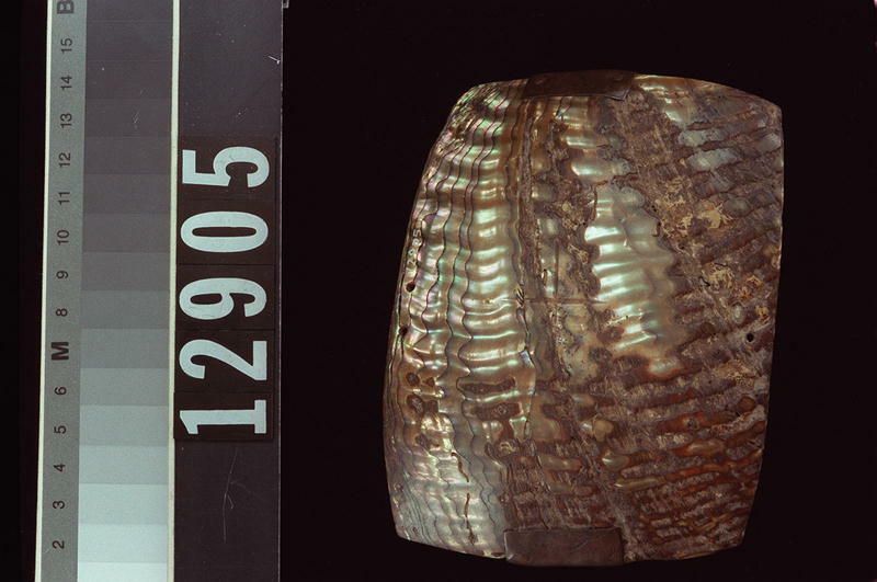 Image representing Object.