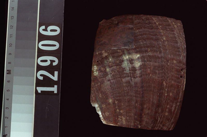 Image representing Object.