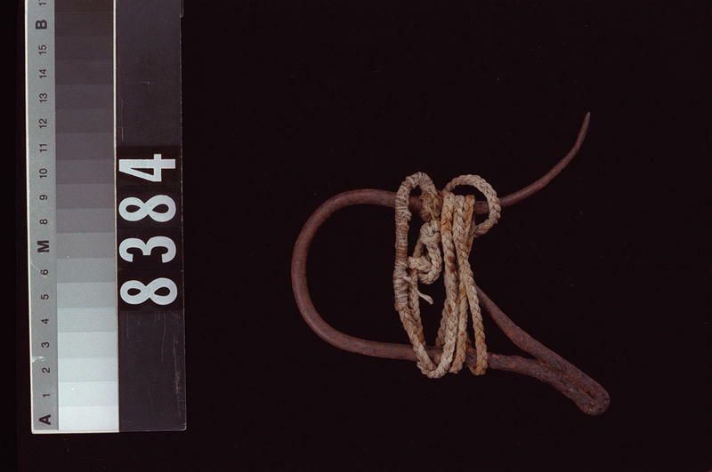 Image representing Hook.