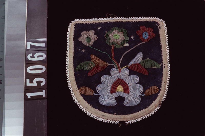 Image representing Pouch.