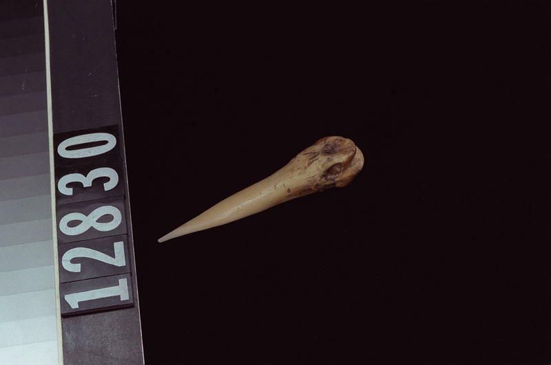 Image representing Awl.