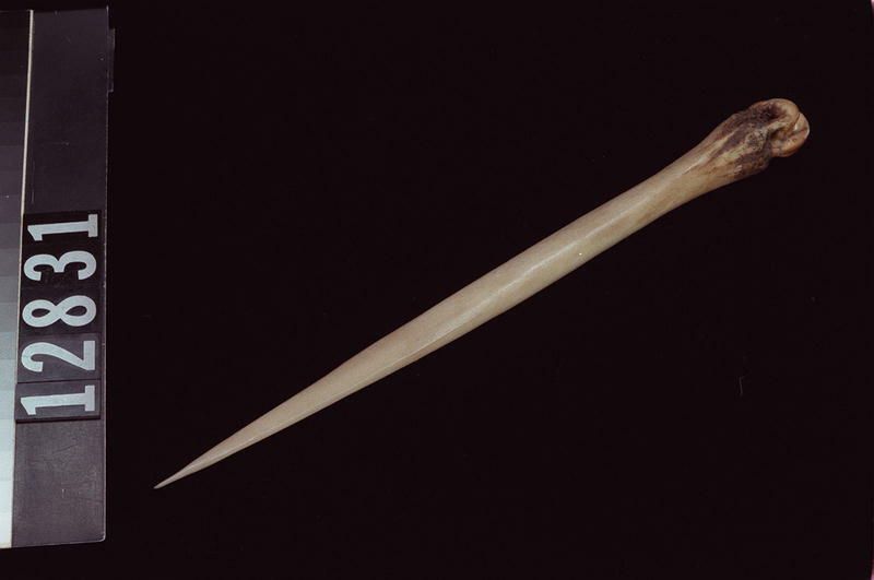Image representing Awl.