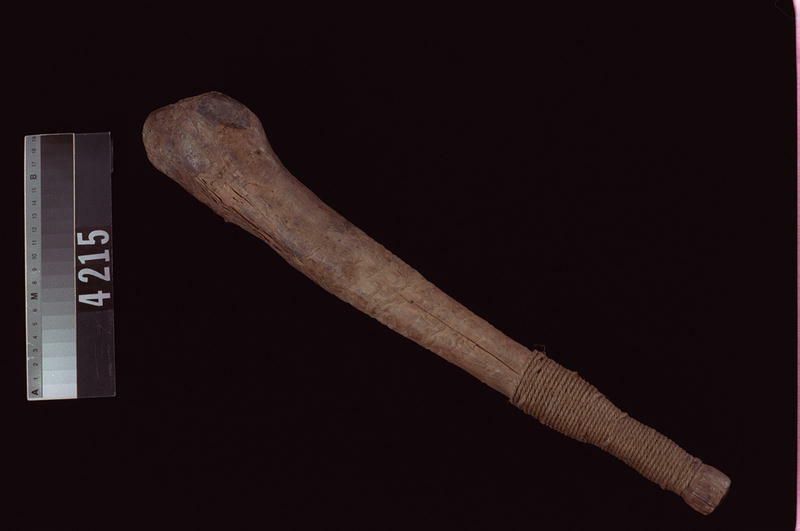 Image representing Club.