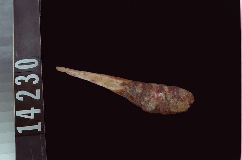 Image representing Knife.