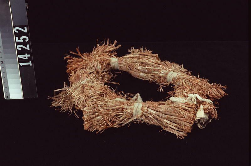 Image representing Ring.