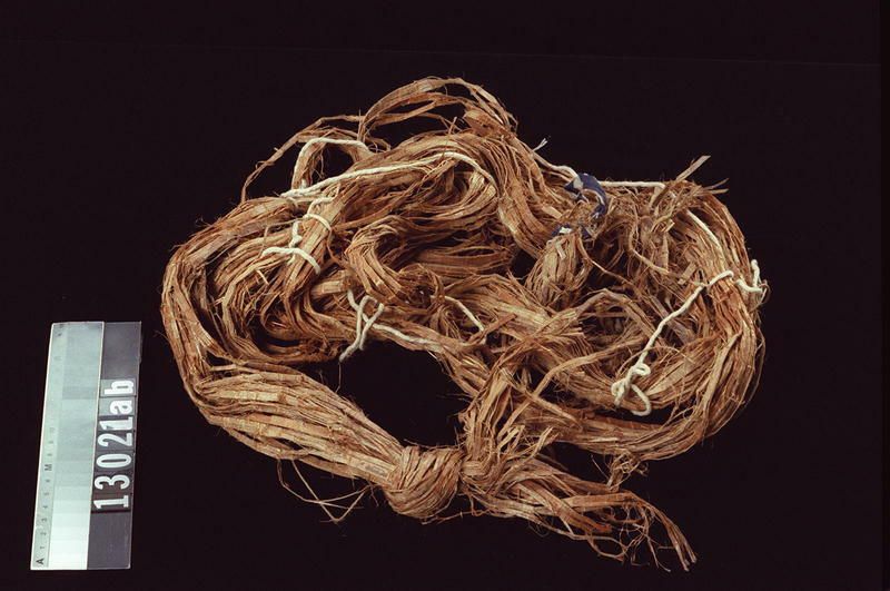 Image representing Band.