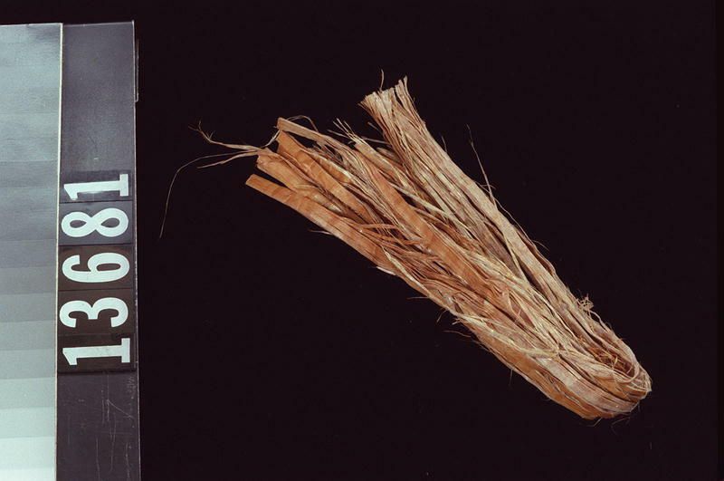 Image representing Raw Material.