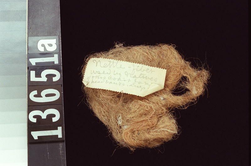 Image representing Raw Material.