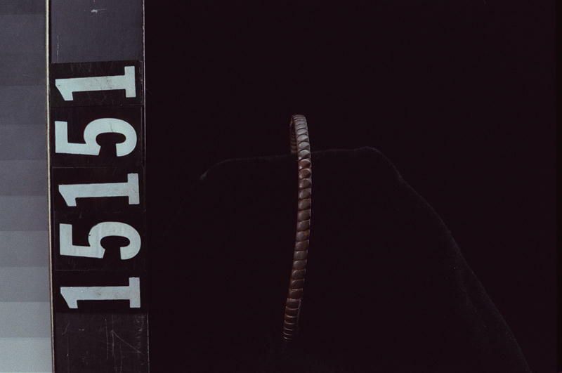 Image representing Bracelet.