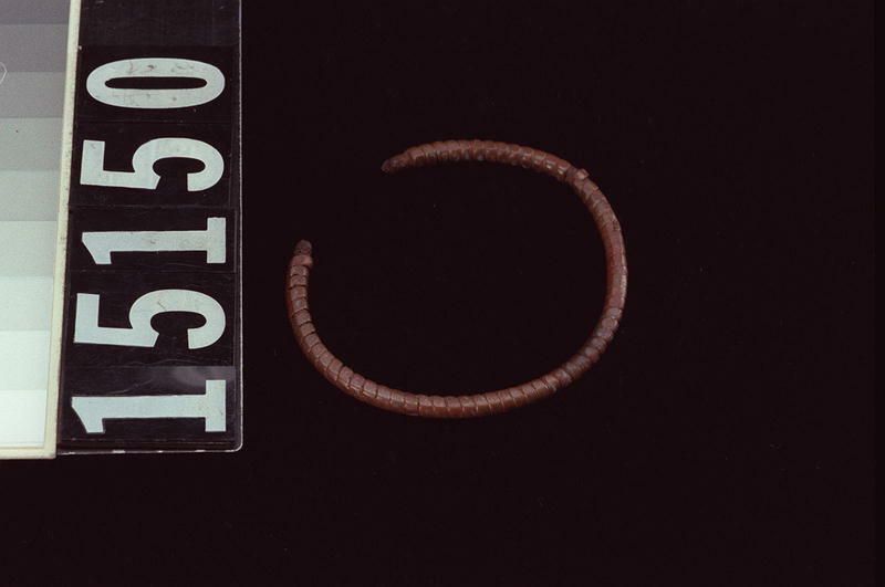 Image representing Bracelet.
