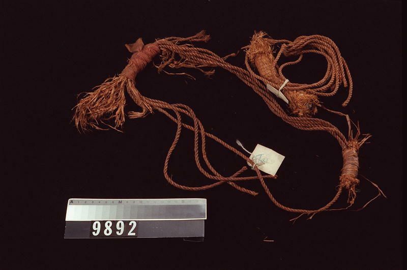 Image représentant Ring