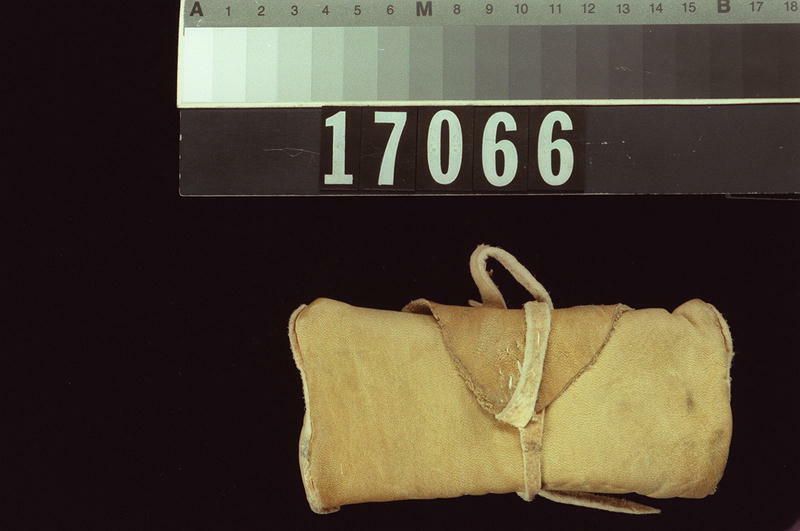 Image representing Case.