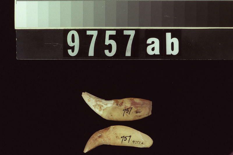 Image représentant Raw Material